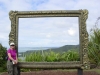 auckland_048