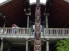auckland_051