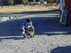 ryan_4364