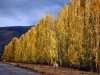 060411-lake-dunstan-road