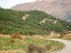 060412-moke-lake-road-2