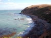 060413-oamaru-cape-wanbrow-bushy-beach-penguin-colony
